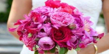ROSE DA GIARDINO